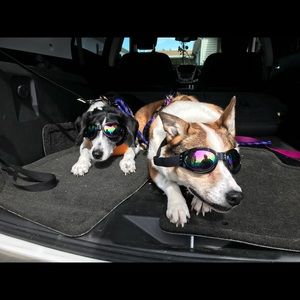 Meet your Posher, Deborah